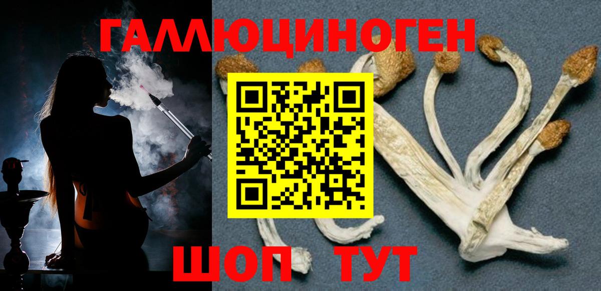 Галлюциногенные грибы GOLDEN TEACHER  Галлюциногенные грибы ЛСД  Кызыл  Вход с VPN 