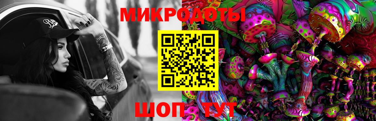 Псилоцибиновые грибы Cubensis Кызыл